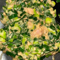 アップイエ's cooksnap of when they made おかわり三杯！ネギの青い部分がご飯の友に.