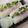 MAKI's cooksnap of when they made カマス寿司.