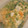 のんミ☆'s cooksnap of when they made えんどう豆の卵とじ☆.