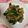 クックTMKVQI☆'s cooksnap of when they made 豚肉となすのオイスター炒め.