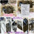 しーくれっと・らいふ's cooksnap of when they made 鰆の酒蒸し.