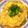 sanahey530's cooksnap of when they made 王将風天津飯.