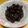 kikuety's cooksnap of when they made おせちの黒豆も圧力鍋で超簡単.