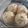 mamacchi's cooksnap of when they made 生地から作る玉ねぎ豚肉まん.