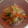 precious☆'s cooksnap of when they made ねばウマっ！ほうれん草の納豆和え.