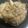 ぴんげ＠桜井浩司's cooksnap of when they made 簡単！我が家の定番☆豚肉の生姜焼き.