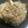 ぴんげ＠桜井浩司's cooksnap of when they made 簡単！我が家の定番☆豚肉の生姜焼き.