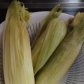 ポンコツ母ts's cooksnap of when they made お水1cmで！甘いとうもろこしの茹で方.