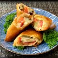 お料理ニャロメ's cooksnap of when they made 茄子・トマトに☆チーズ入り簡単春巻き.