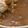 MULA's cooksnap of when they made たまには❀ポークカレー.