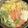 黒豆丸's cooksnap of when they made 美味しい鯛ちり鍋 お出汁もうまい！.