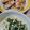 クックLAT1IB☆'s cooksnap of when they made サーモンのムニエル野菜クリームソース添え.