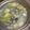 ちこ＆たこ's cooksnap of when they made しじみと白菜の生姜スープ.