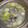 ちこ＆たこ's cooksnap of when they made しじみと白菜の生姜スープ.
