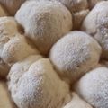 Rin's cooksnap of when they made ふわふわで簡単！手ごねで基本のちぎりパン.