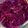 mogumogu5's cooksnap of when they made 私の好きな紫キャベツラペ♬.