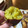 yauikri's cooksnap of when they made 【簡単】オーブンで　ねっとり甘い焼き芋.