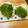 OTO☆HANA's cooksnap of when they made 紫蘇おにぎり.