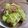 ねこ仙人's cooksnap of when they made ハヤトウリでおつまみ＊ザーサイ風。.
