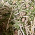 りりぃさん♡'s cooksnap of when they made 超簡単！サバ缶と水菜のサラダ.