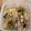 ゆうたのパパ's cooksnap of when they made 味付けは白だしだけ！簡単・小松菜の煮浸し.