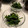 ゆいmaru3's cooksnap of when they made 我が家のほうれん草のおひたし.