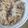 Cony◎'s cooksnap of when they made ◆舞茸の炊き込みご飯◆　簡単ヘルシー♪.