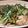 ☆みなママ☆'s cooksnap of when they made 豚こま水菜のシャキシャキごま油炒め.