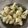 pali's cooksnap of when they made カリフラワーの茹で方.