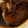 YU-ZEN's cooksnap of when they made フライパンで！簡単冷凍赤魚の煮付け♪.