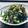 お料理ニャロメ's cooksnap of when they made 作り置き☆紫キャベツと生姜の甘酢漬け.