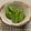 あんず's cooksnap of when they made ししとうの味噌甘辛炒め　大量消費！.