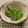あんず's cooksnap of when they made ししとうの味噌甘辛炒め　大量消費！.