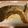 さすらい's cooksnap of when they made 冷凍しゃけカマでバターしょうゆ炒め.