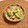 コムギ大好き's cooksnap of when they made ＊鶏ムネ肉と胡瓜のからしごま和え＊.