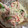 クックHDP0M2☆'s cooksnap of when they made 菜の花とカニカマのマヨネーズ和え.