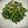 TeaChan214's cooksnap of when they made 菜の花の梅ごま和え☆.