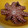 クックHVF9NP☆'s cooksnap of when they made 生タコの下処理&やわらか冷凍保存.
