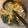 ゆい 's cooksnap of when they made なめことネギの味噌汁.