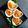 ひさかた's cooksnap of when they made 殻つき牡蠣のもと焼き（MOTOYAKI).