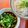 azbjbn's cooksnap of when they made 簡単で香り良し！！ 削り節で素麺つゆ♬.