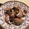 honkiーman's cooksnap of when they made ✿バイ貝の煮付け✿.