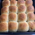 ariyuki97's cooksnap of when they made 【捏ねない】簡単時短ちぎりミルクパン★.