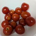郁たん's cooksnap of when they made 救済！シワシワミニトマトの復活裏技☆.