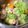 未央ママ's cooksnap of when they made 手羽元で簡単！野菜もネ☆参鶏湯 圧力鍋.