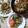 まりゆりひろこ's cooksnap of when they made ゴーヤとわかめのツナのサラダ.