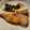 直道☆'s cooksnap of when they made ぶりの煮付け♩.