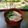 チコリママ's cooksnap of when they made お酒を飲んだ後の〆に食べたい♪胡椒飯.