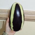 canadawhistler's cooksnap of when they made 暑い夏！シェフが教える茄子の下処理の仕方.