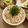 エリィガガ's cooksnap of when they made 食物繊維たっぷり！ごぼうの炊き込みご飯♪.